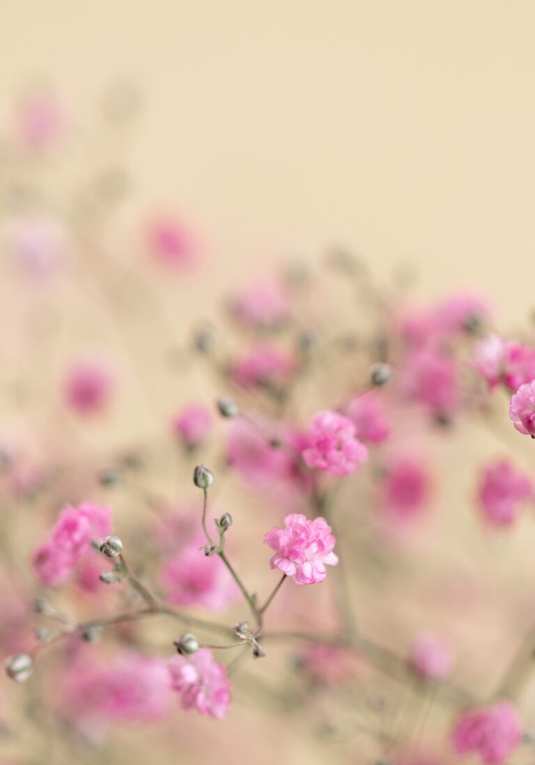 Diseño sin título (3)