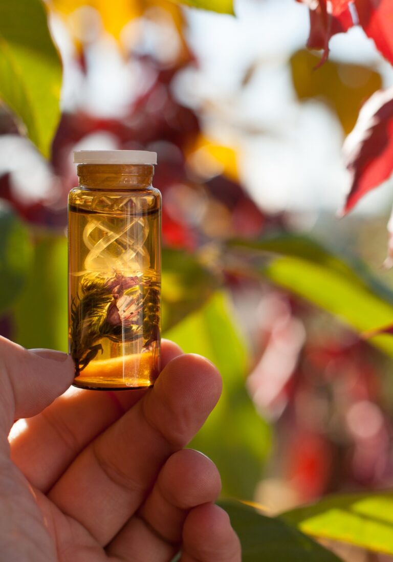 Diseño sin título (4)