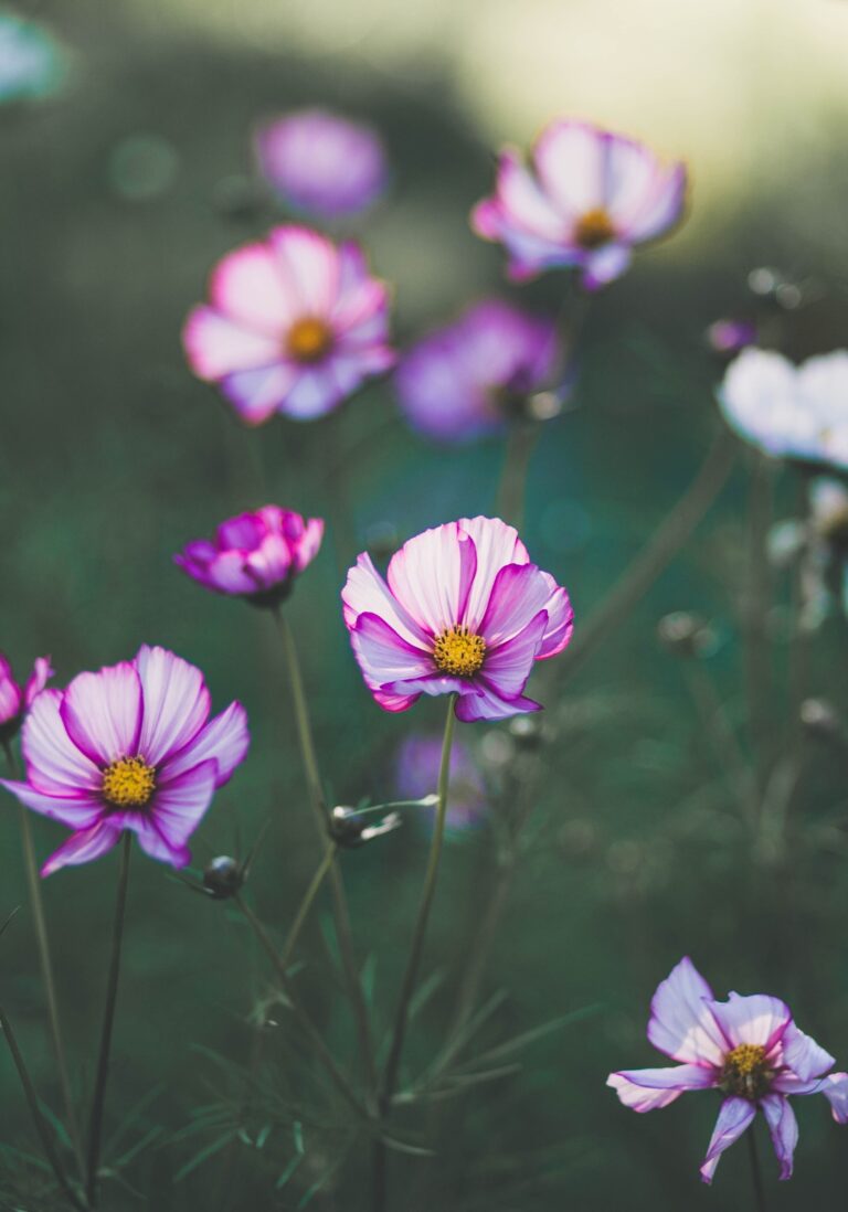 Diseño sin título (5)