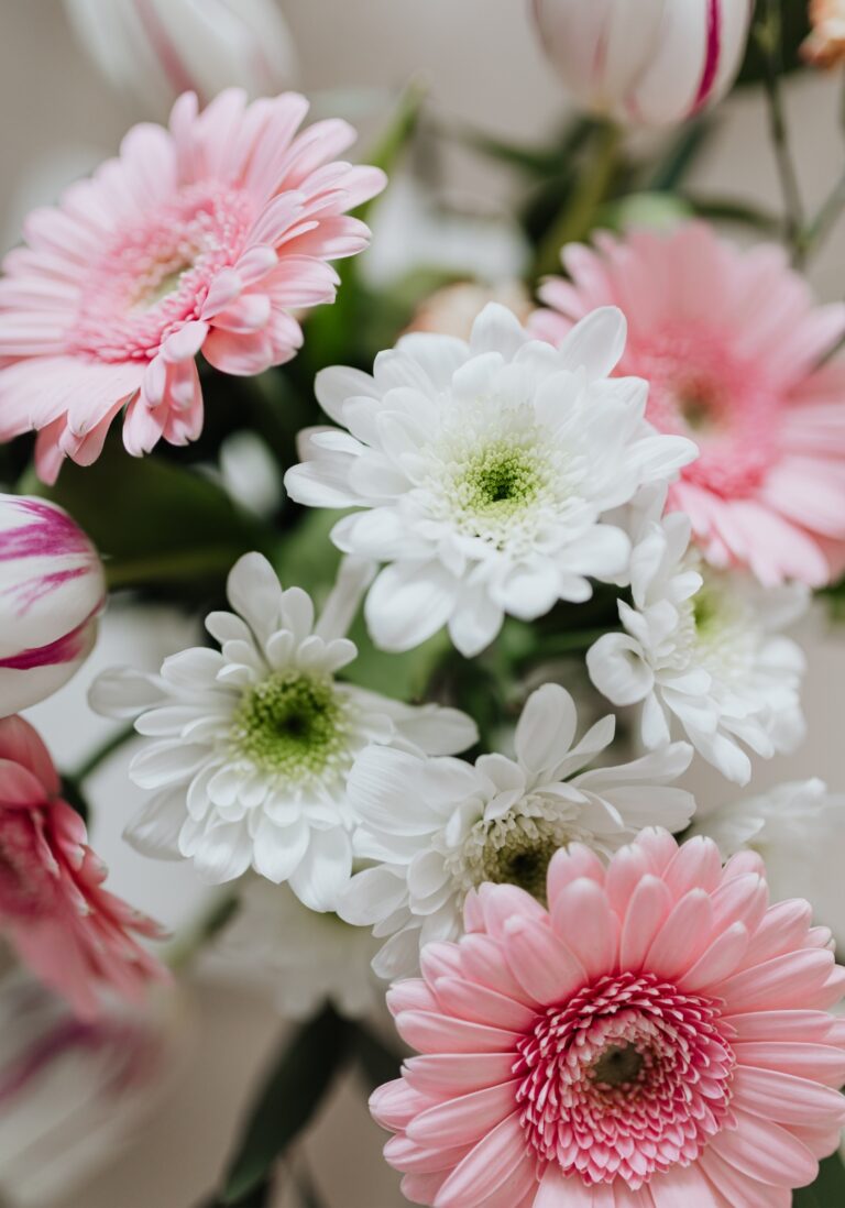 Diseño sin título (6)