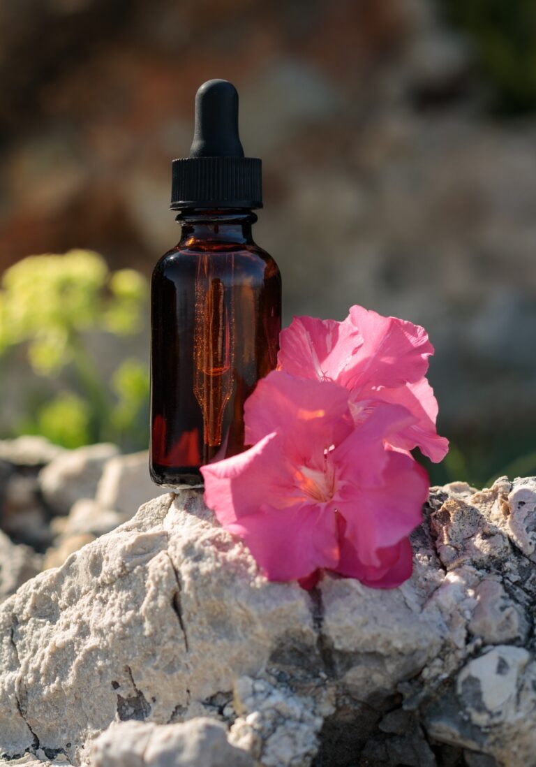 Diseño sin título (7)