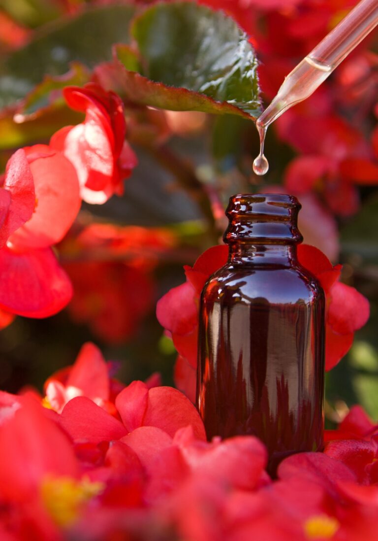 Diseño sin título (8)