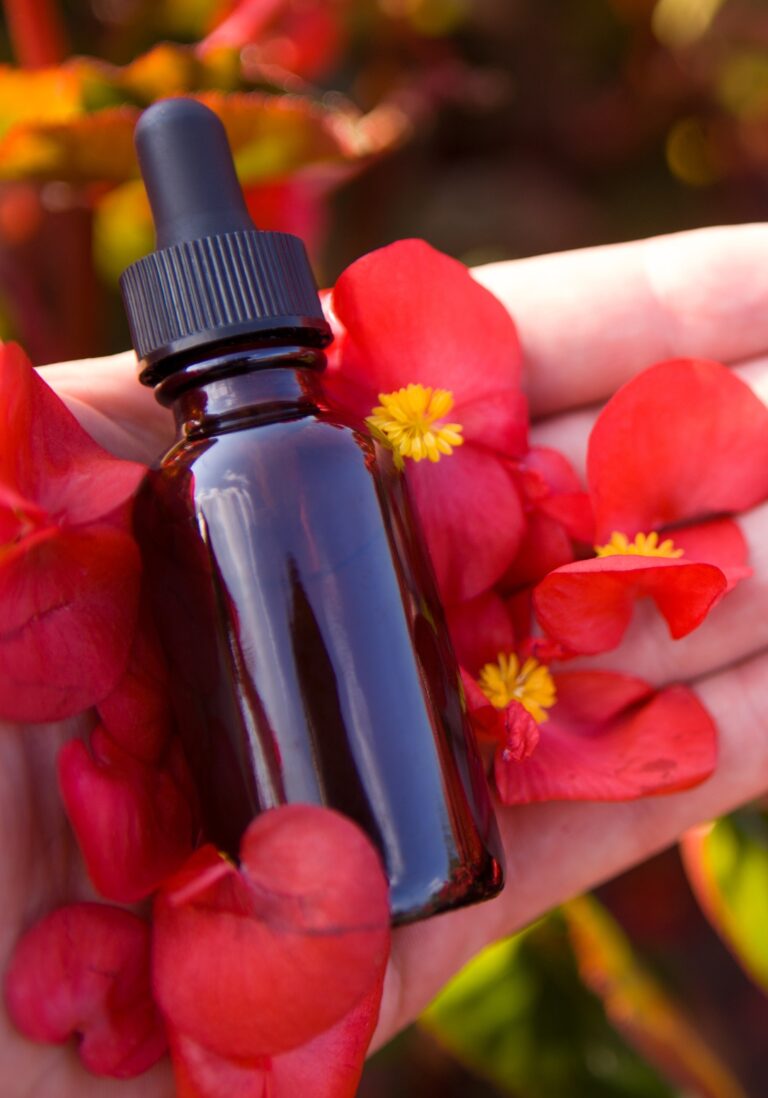 Diseño sin título (9)